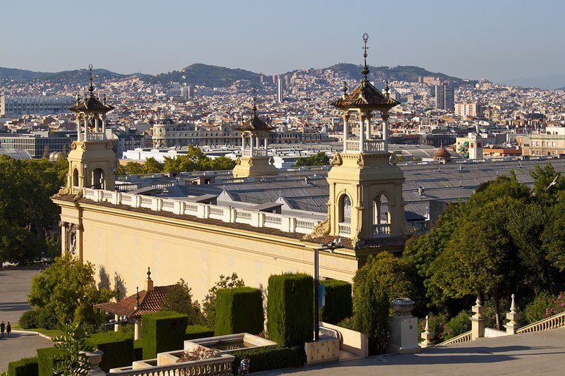 Discover corgibet atención al cliente